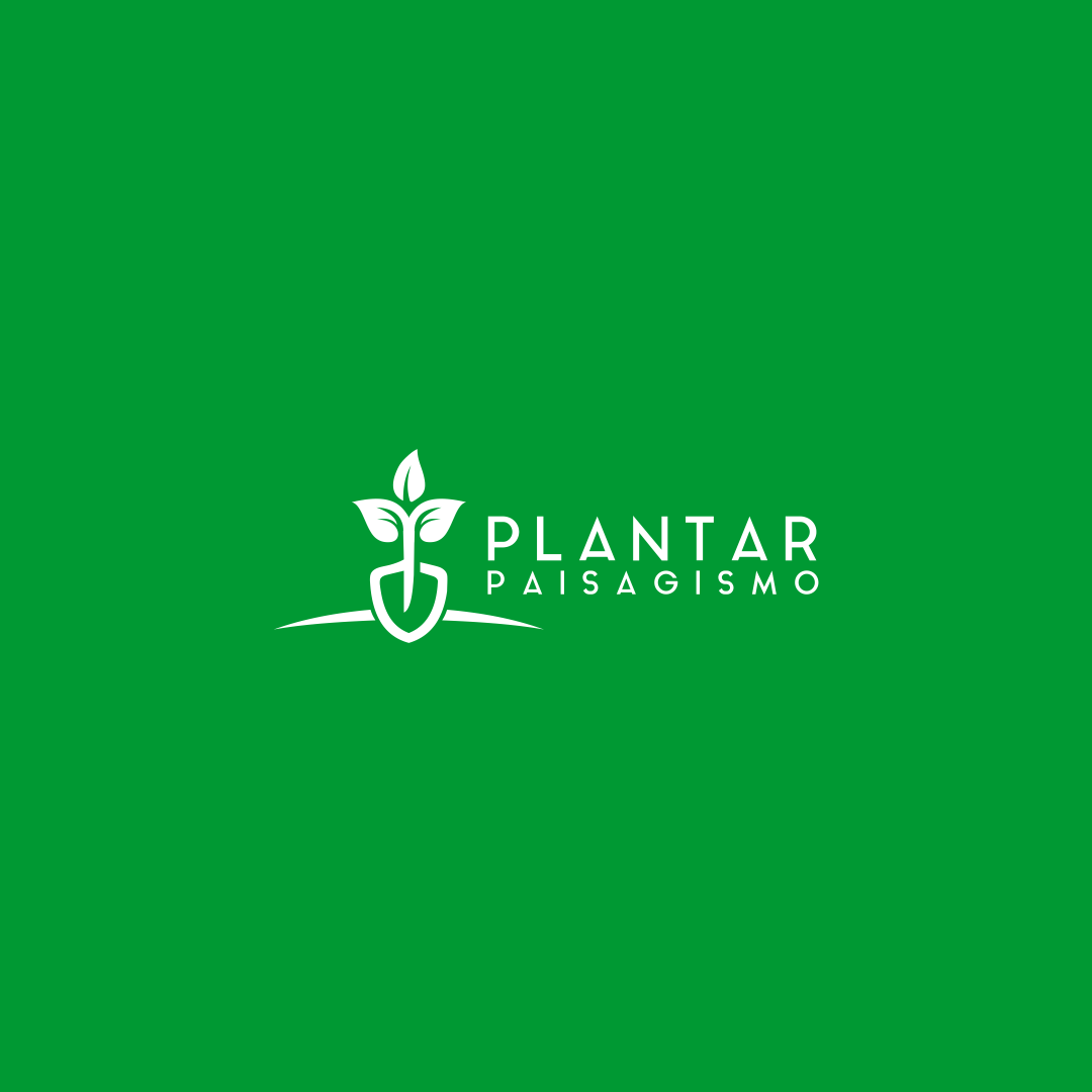 planta 2