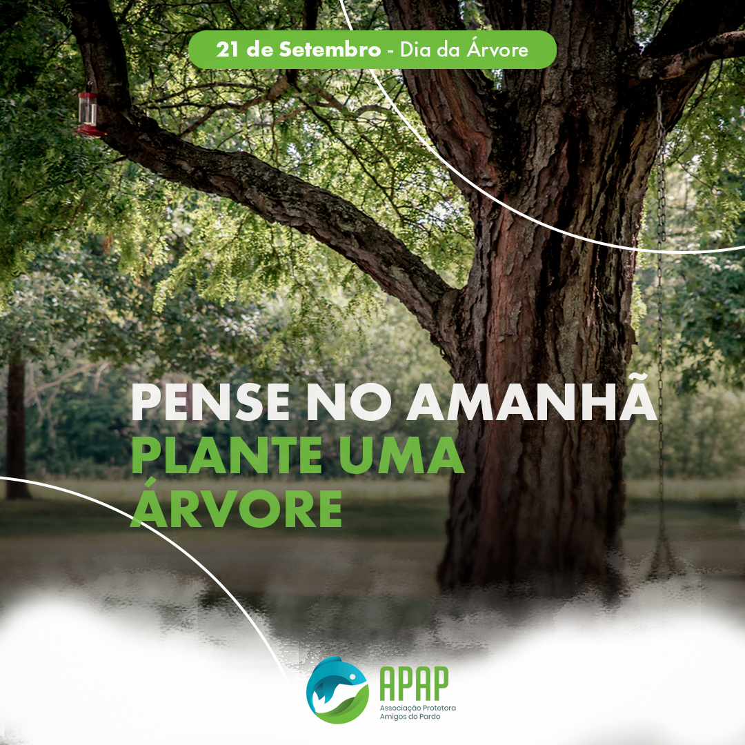 APAP - Dia da Floresta