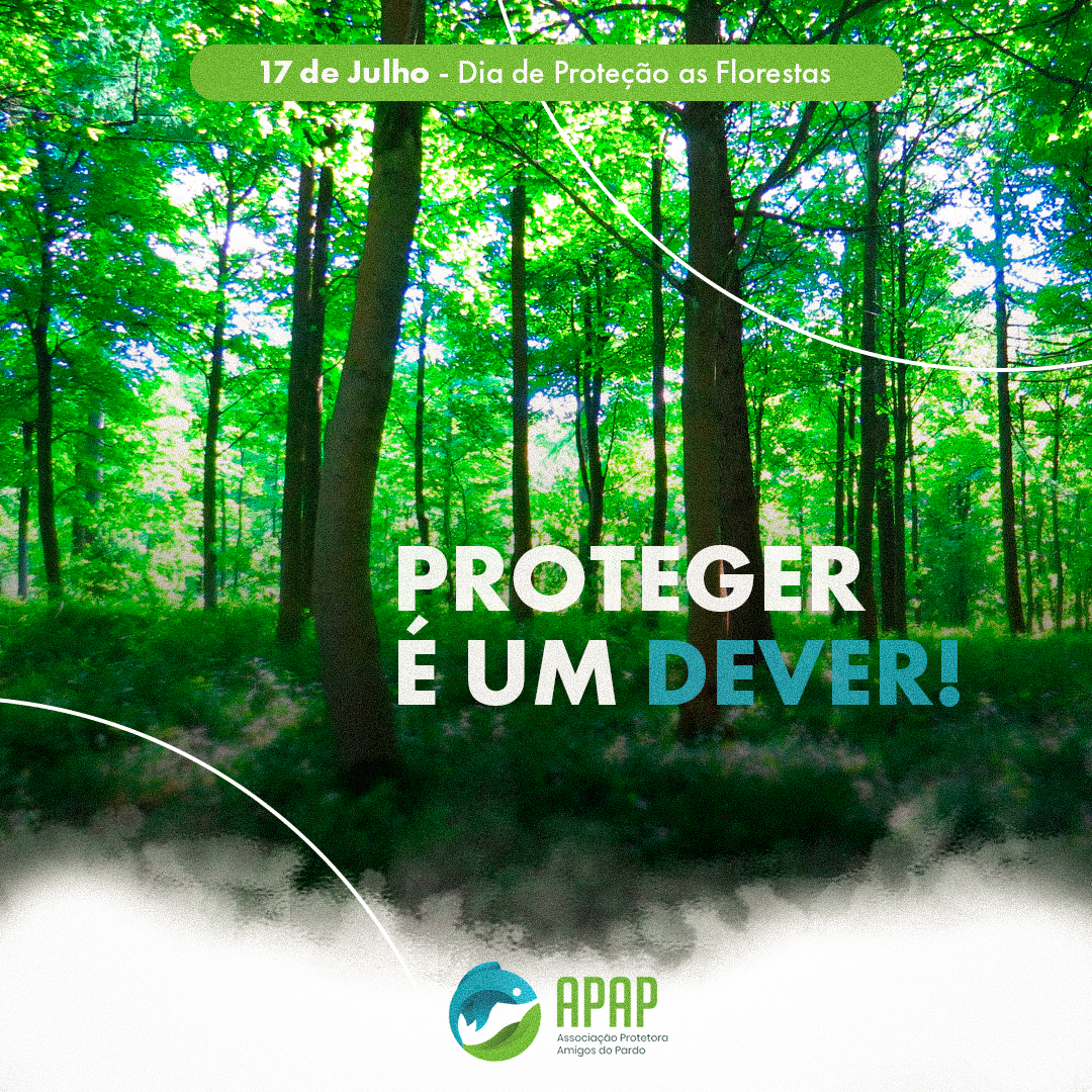 APAP - Dia de proteção as florestas