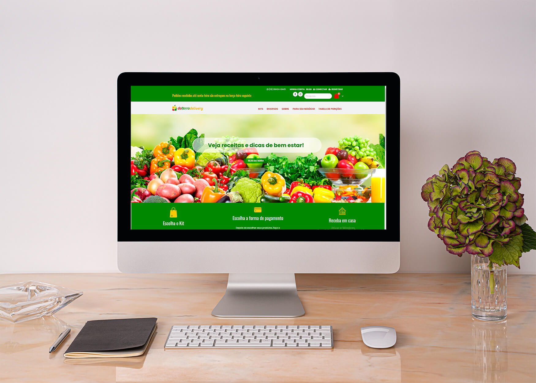 CONCEITUE - Mockup daterra site